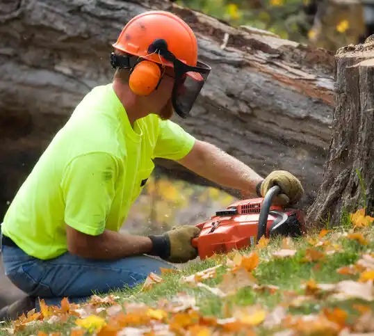 tree services Livingston Manor